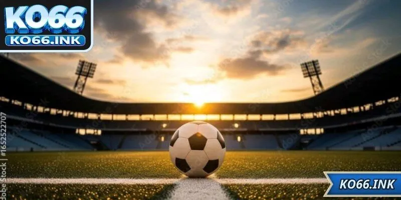 Có nhiều phân loại cho người dùng lựa chọn