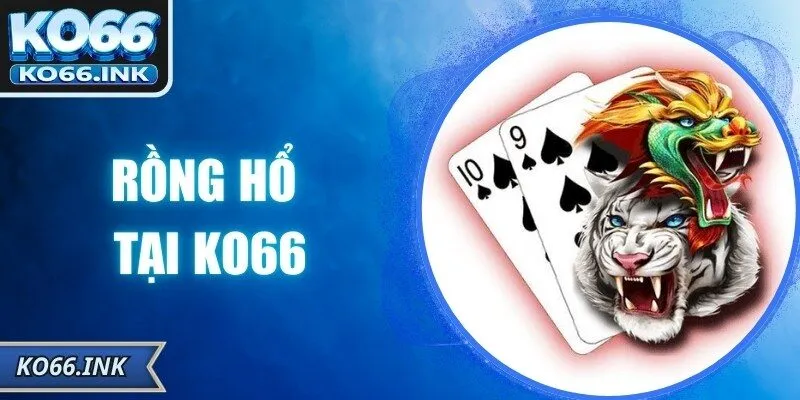 Rồng Hổ Tại KO66: Trải Nghiệm Đơn Giản, Đầy Thử Thách